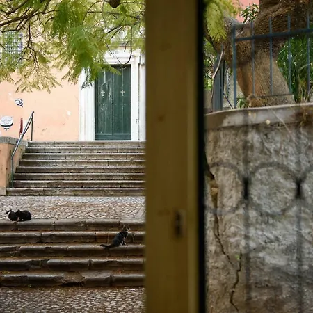 La Vecchia Bottega Del Nonno - Corfu * コルフ島